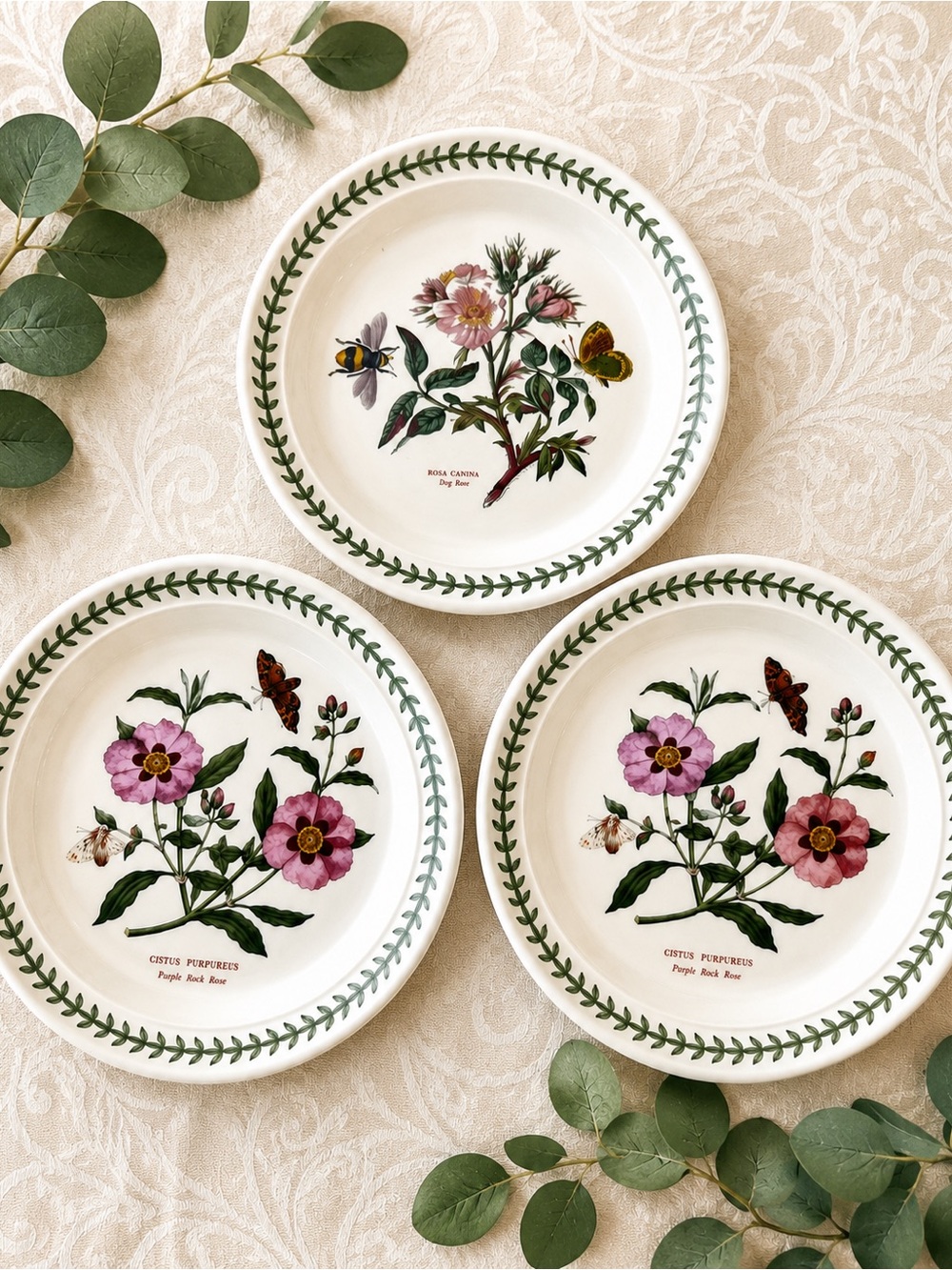 Portmeirion Botanic Garden 8” Salad Plates Set of 3 Mixed Floral England